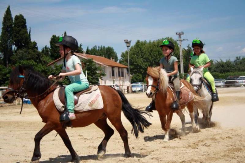 Stage d'équitation pendant le mois de Juillet et Août à Salon de Provence