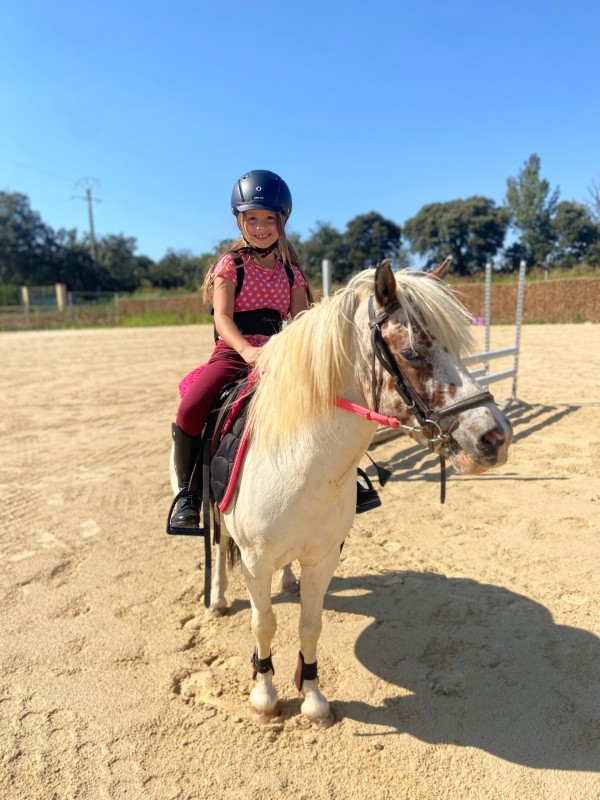 Cours d'équitation baby poney à salon de Provence
