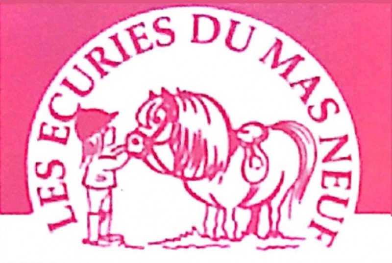 Stages d’équitation pendant les vacances de février à salon de Provence