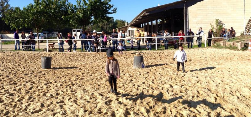 ecuries du mas neuf centre equestre poney club salon de provence PACA