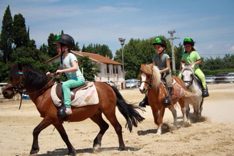 Stages initiation à poney pour enfants près d'Arles dans le sud de la france