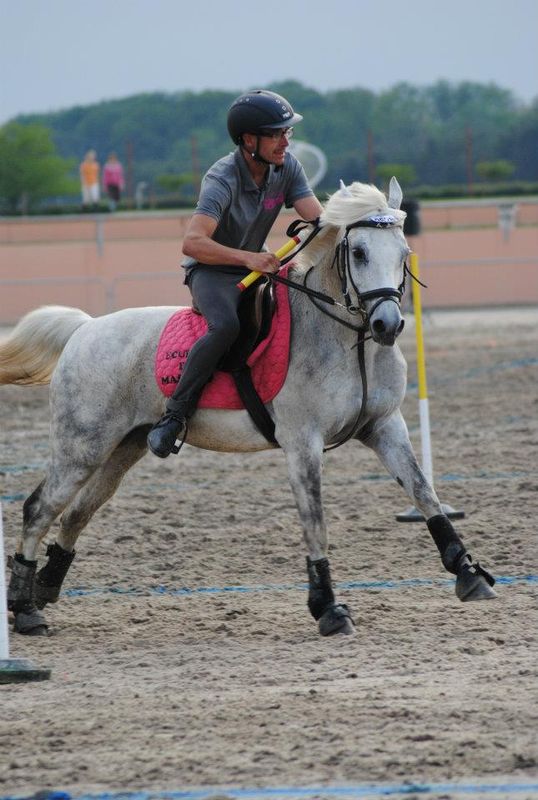 centre equestre poney club salon de provence ecuries du mas neuf