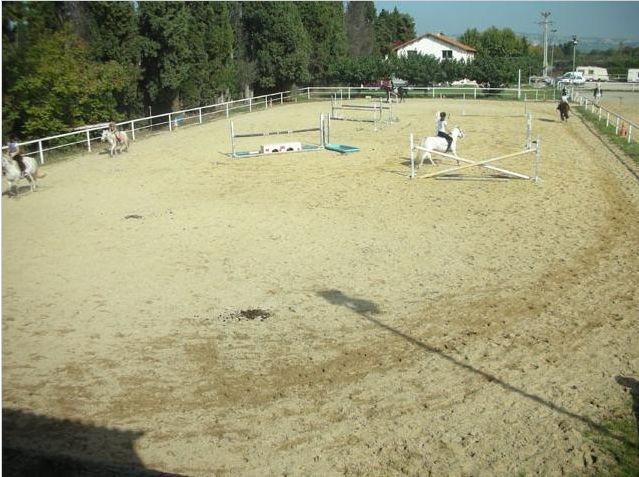 manege couvert lecon poney chevaux salon de provence