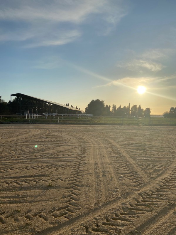 Pension pour chevaux à Mouriès dans les Alpilles