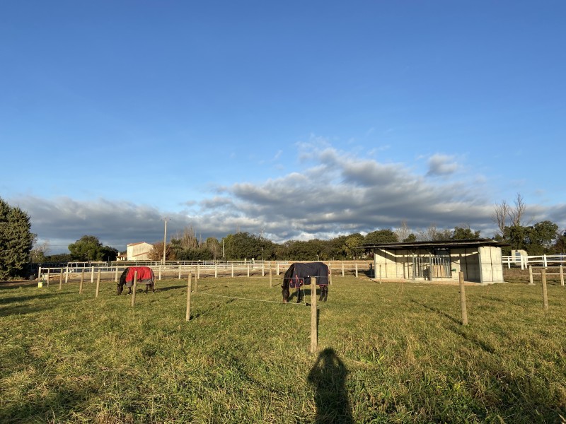 Compétition poneys et chevaux aux Écuries des Hauts de Mouriès 