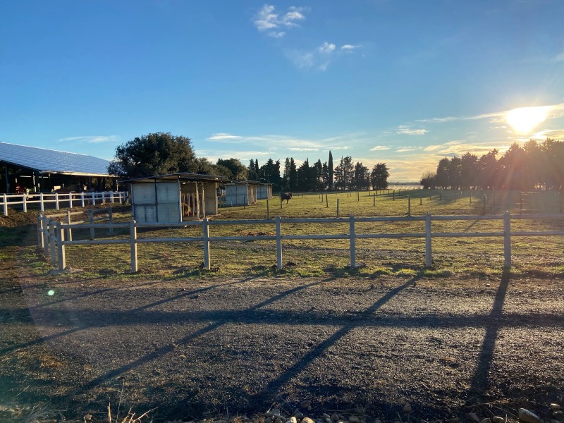 Compétition poneys et chevaux aux Écuries des Hauts de Mouriès 