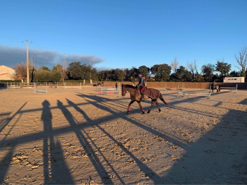 Stage d’équitation pendant les vacances de février