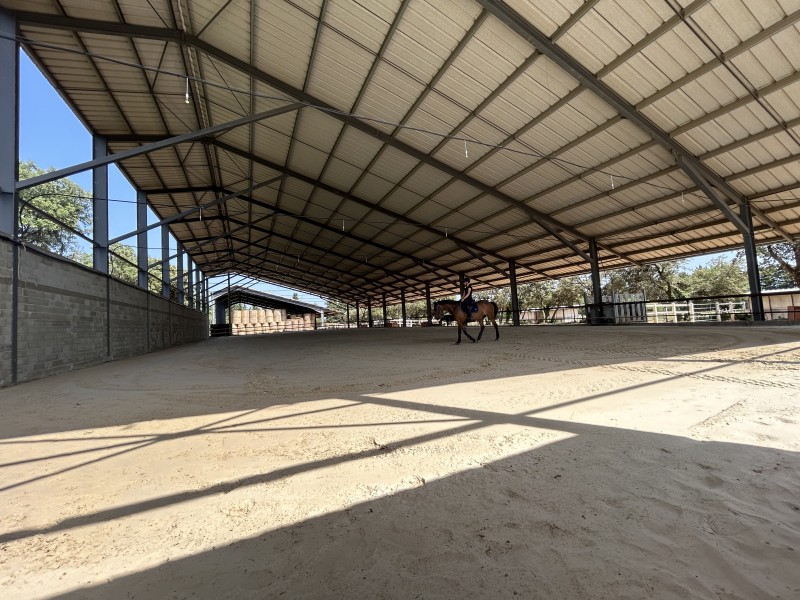 Pension pour chevaux à Mouriès dans les Alpilles