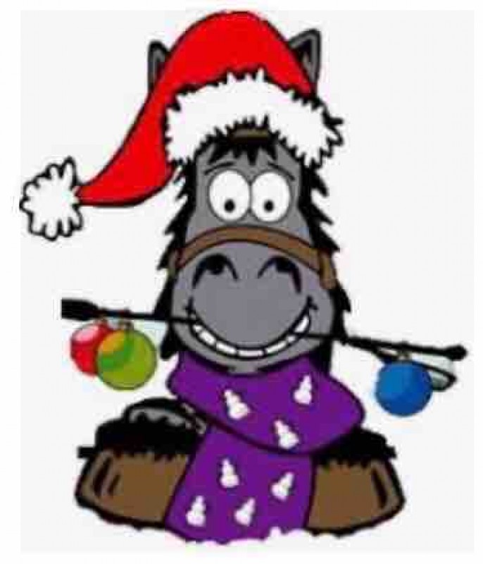 Stage d’équitation pendants les vacances de Noël à salon de provence pour les enfants ou adultes