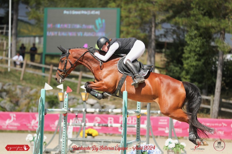 Pension chevaux ou poney travail