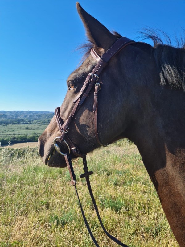 Les leçons du soir pendant l’été à Mouriès