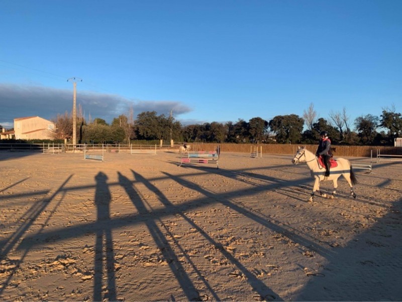 Stage d’équitation pendant les vacances de février