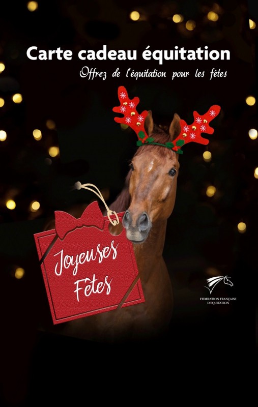 Stages d’équitation pendant les vacances de Noël
