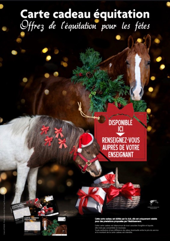 Stages d’équitation pendant les vacances de Noël