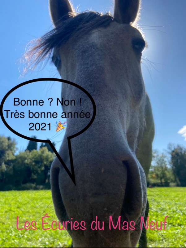 Bonne année 2021