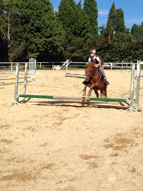 ecuries du mas neuf centre equestre poney club salon de provence PACA