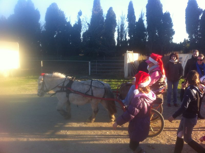 pere noel ecuries du mas neuf 13300 salonde provence paca