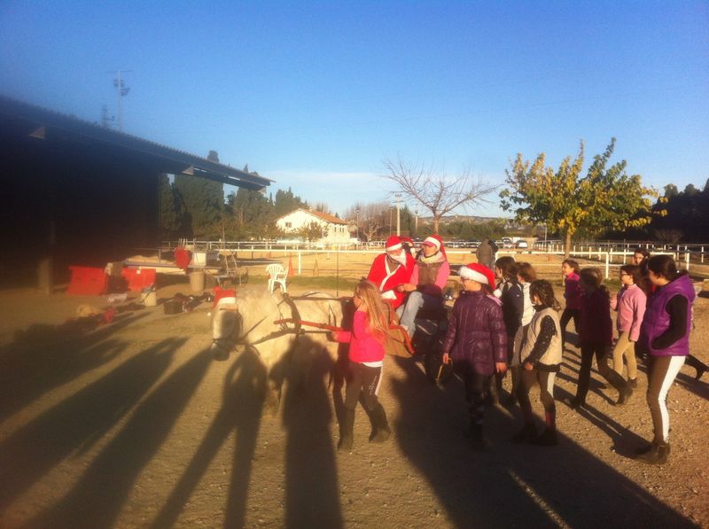 pere noel ecuries du mas neuf 13300 salonde provence paca