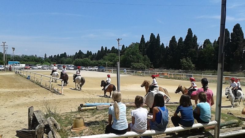 activité poney salon de provence PACA 13 bouche du rhone