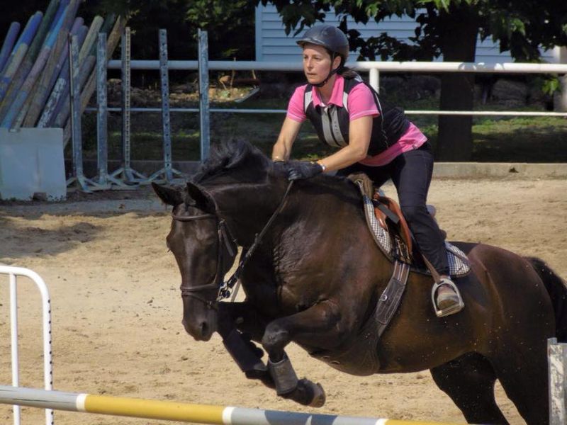 Stages poney pendants les vacances d'été juillet et aout près de Maussane les Alpilles