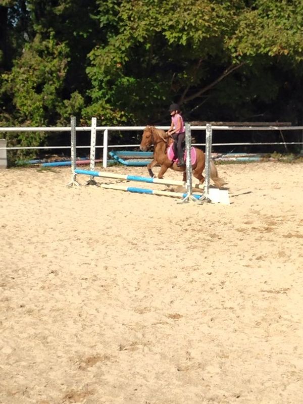 stages d'équitationponey vacances avril 2017 salon de provence eyguieres