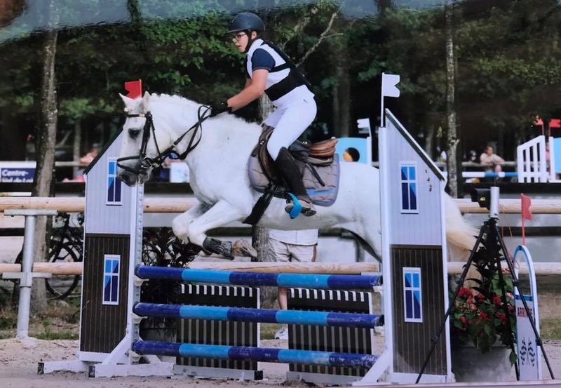 ecuries du mas neuf salon de provence paca poey cheval