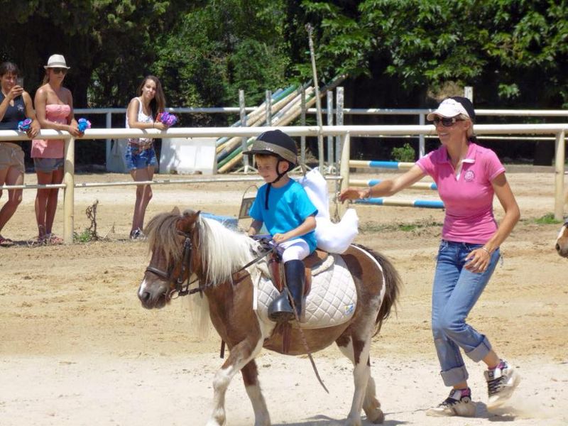 Cours baby poney salon de provence ecuries du mas neuf paca