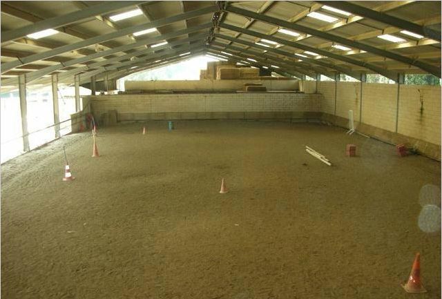 Cours baby poney salon de provence ecuries du mas neuf paca