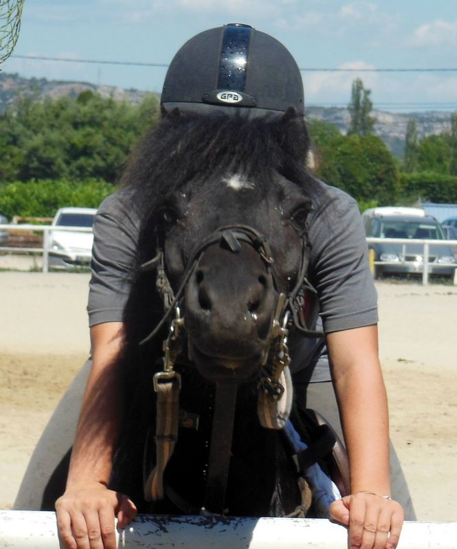 Stage poney fevrier ecuries du mas neuf bouche du rhone