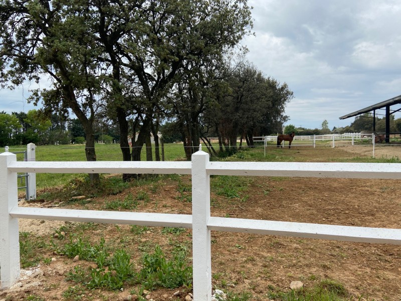 Pension pour chevaux à Mouriès dans les Alpilles