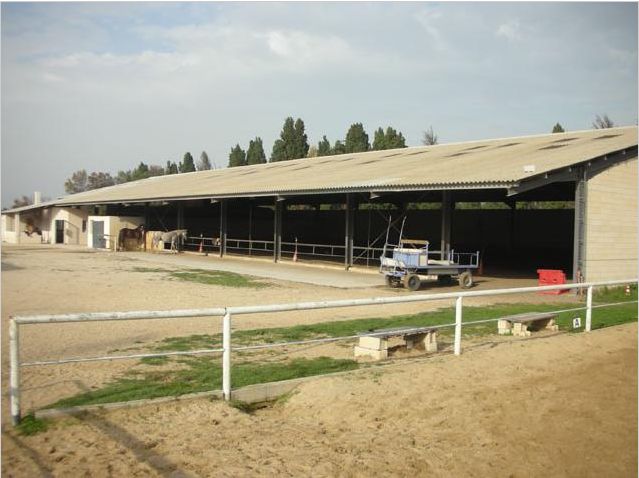 école pour passer le BPJEPS mention équitation