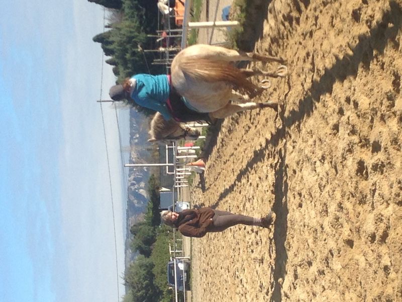 Stagiaires BPJEPS AE