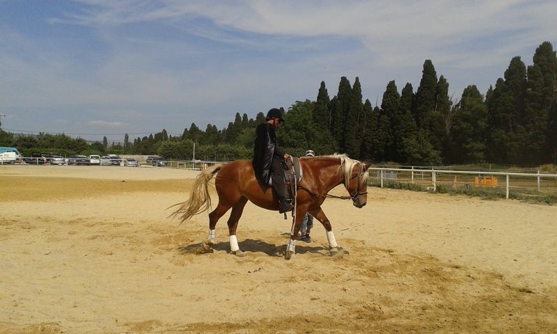 Notre zone d'activité pour ce service Centre équestre affilié Fédération française d'équitation