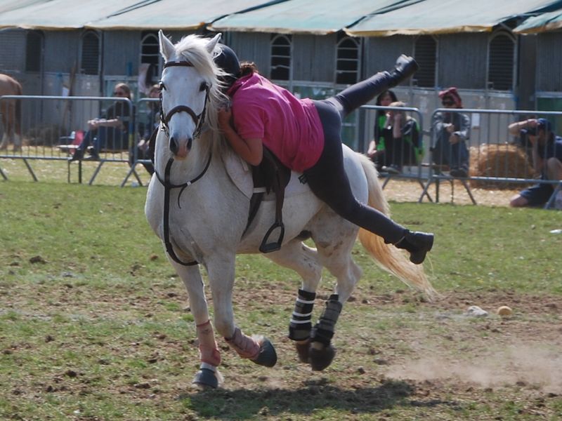 centre equestre poney club salon de provence ecuries du mas neuf