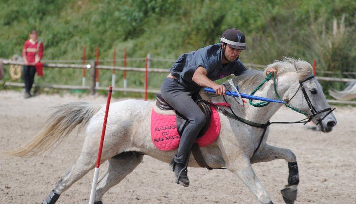 centre equestre poney club salon de provence ecuries du mas neuf