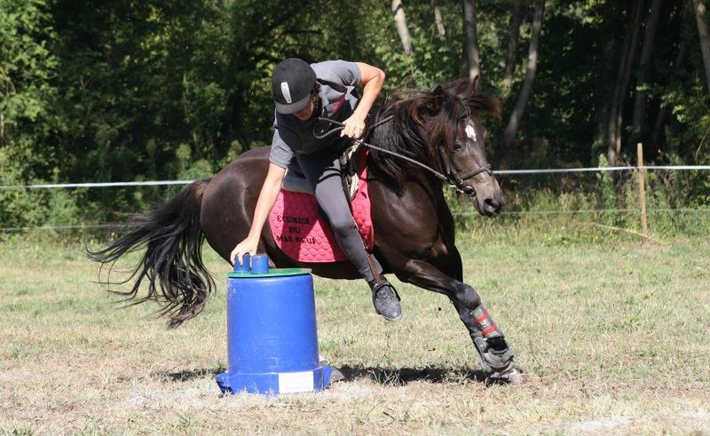 centre equestre poney club salon de provence ecuries du mas neuf