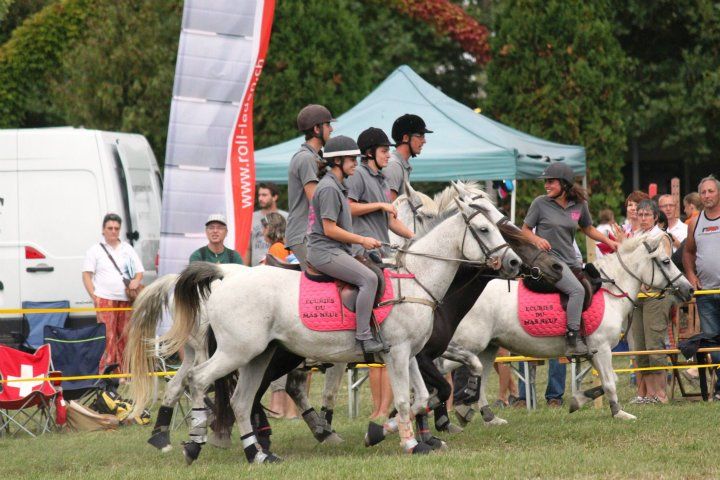 centre equestre poney club salon de provence ecuries du mas neuf