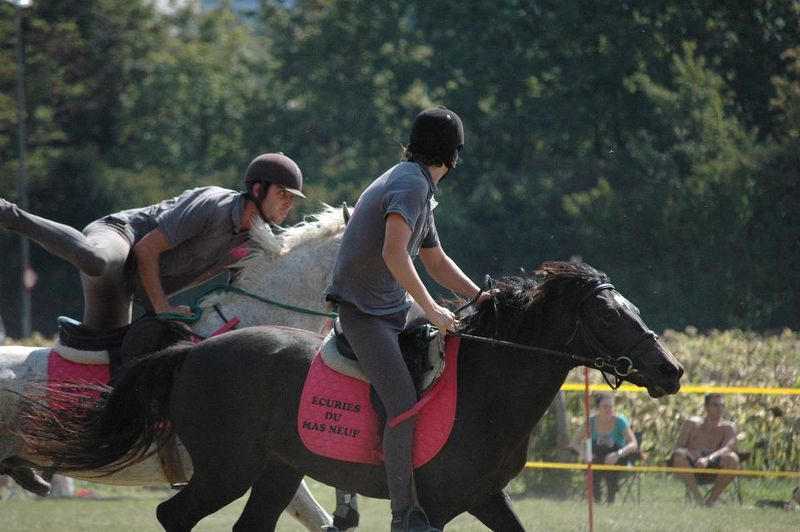 centre equestre poney club salon de provence ecuries du mas neuf