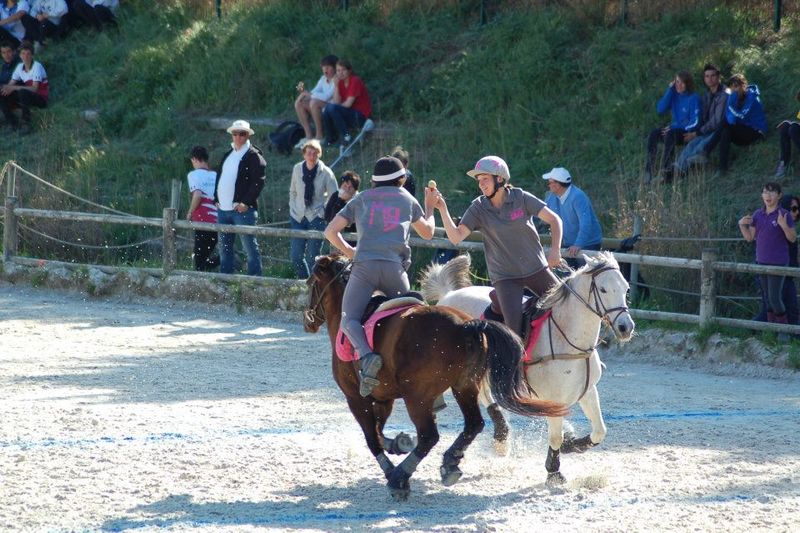 centre equestre poney club salon de provence ecuries du mas neuf