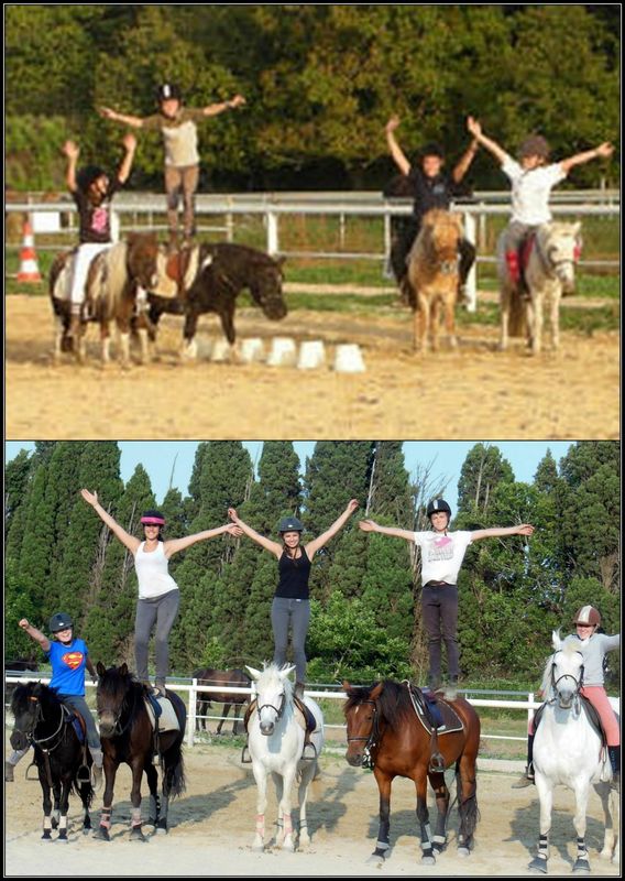 centre equestre poney club salon de provence ecuries du mas neuf