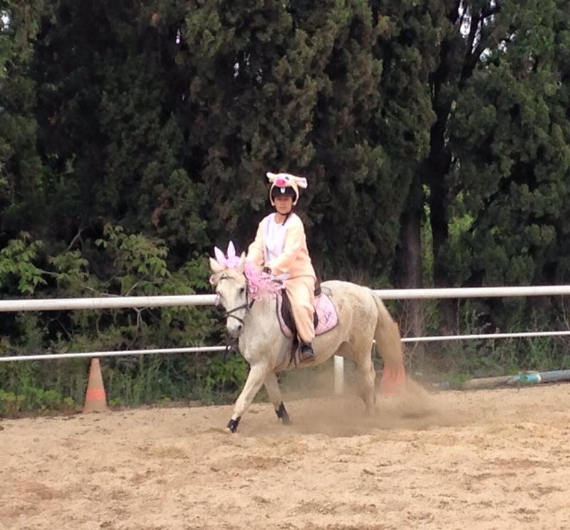 centre equestre poney club salon de provence ecuries du mas neuf