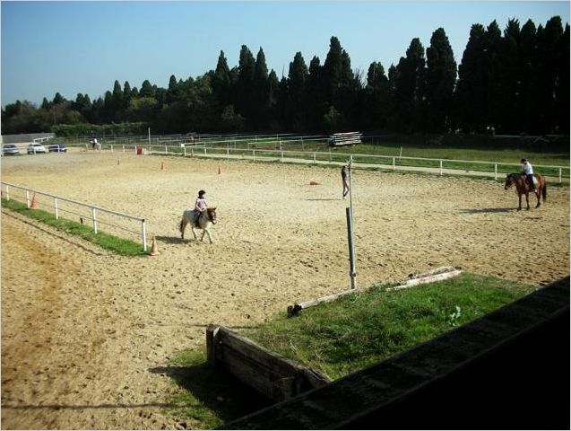 manege couvert lecon poney chevaux salon de provence