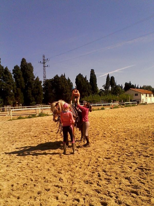 centre equestre poney club salon de provence ecuries du mas neuf