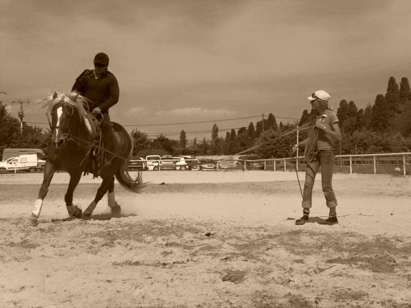 centre equestre poney club salon de provence ecuries du mas neuf