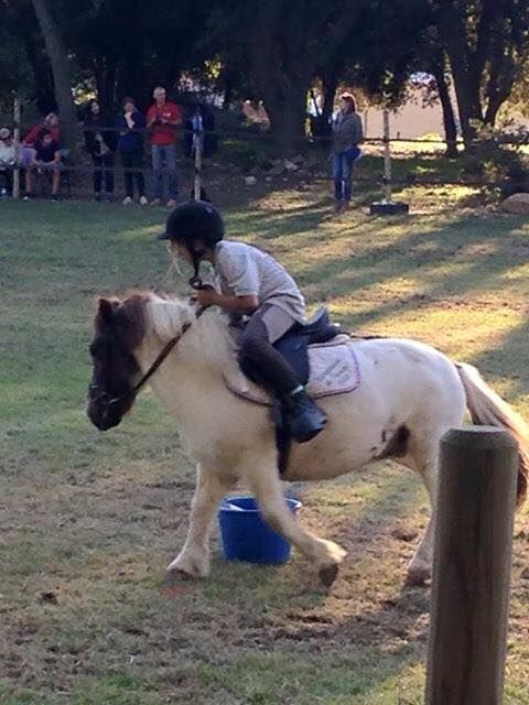 Activités poney salon de provence cheval enfant PACA bouche du rhone 13