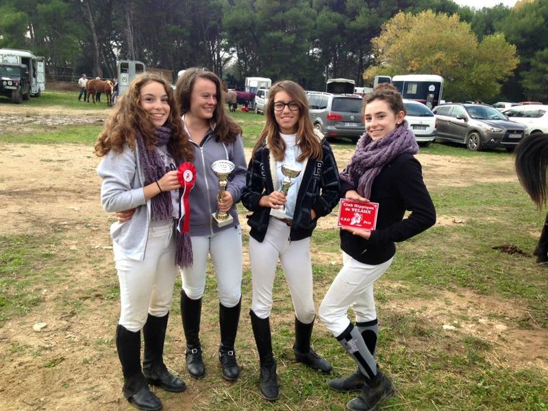 Ecuries du mas neuf salon de provence bouche du rhone lecon d'équitation cours de poney bpjeps equitation