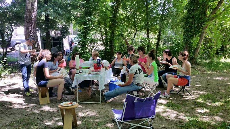Ecuries du mas neuf salon de provence bouche du rhone lecon d'équitation cours de poney bpjeps equitation