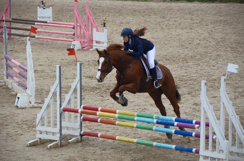 Ecuries du mas neuf salon de provence bouche du rhone lecon d'équitation cours de poney bpjeps equitation