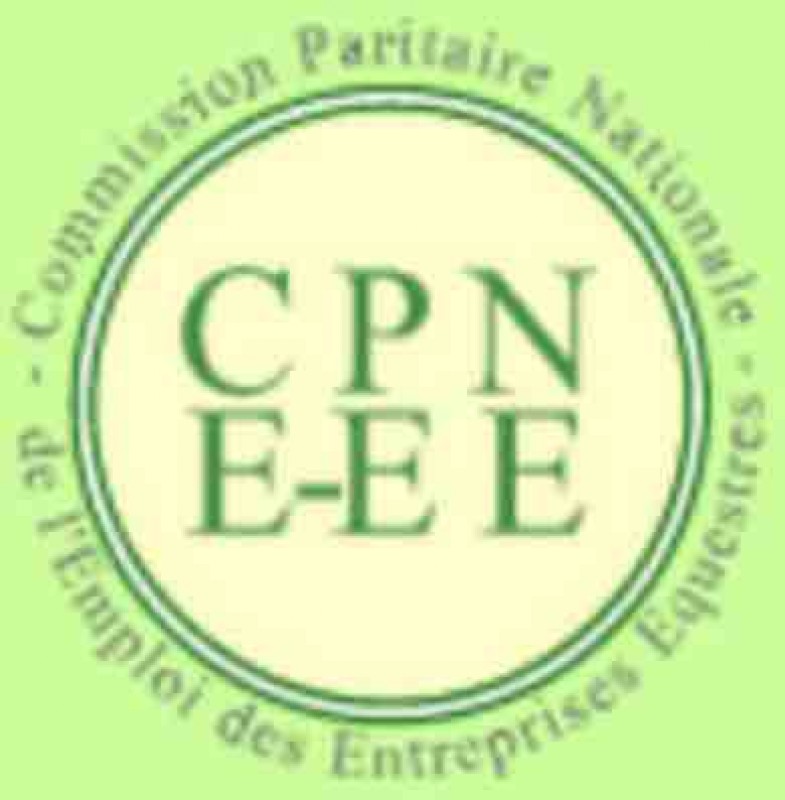 CEP 3 Equitation format long aux Ecuries du Mas Neuf en PACA