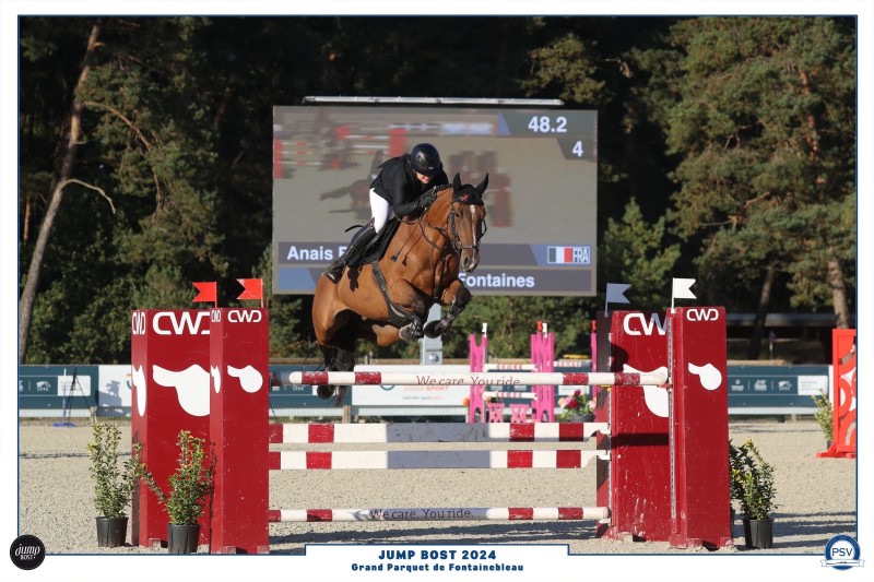 Pension chevaux ou poney travail